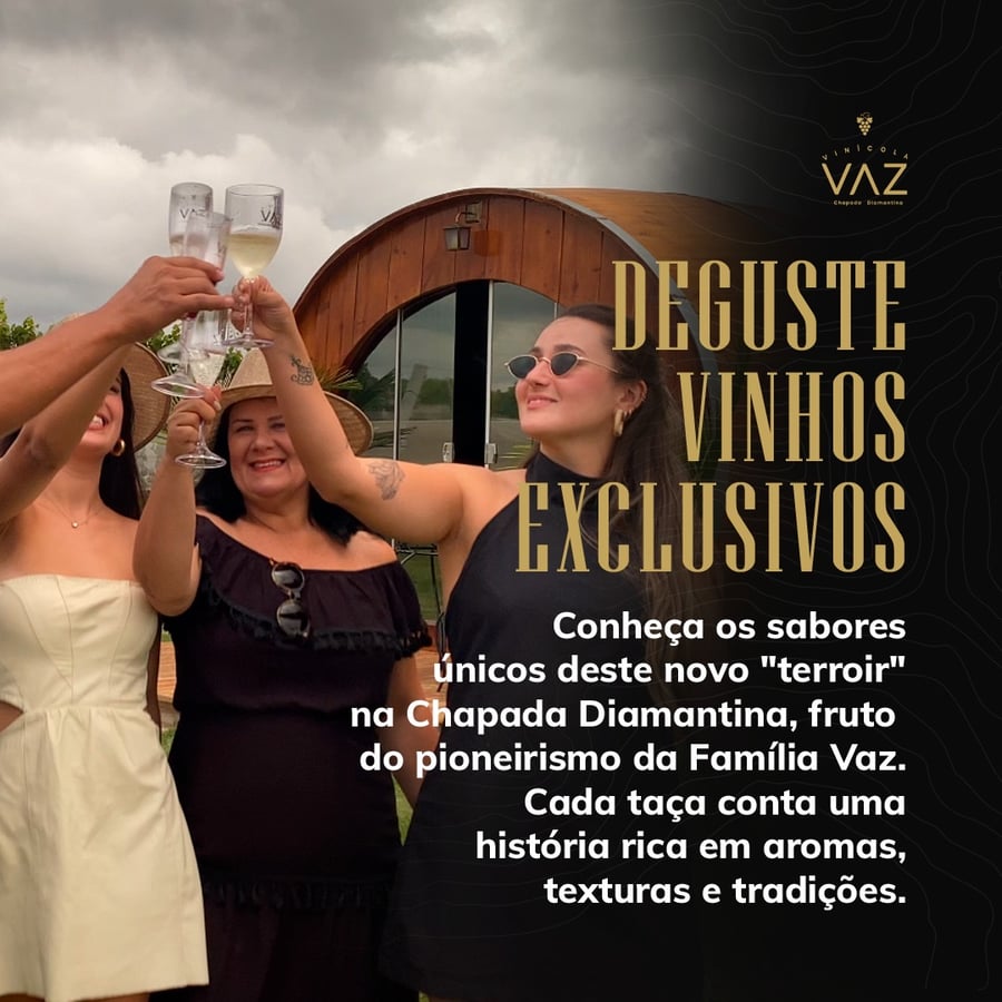 Deguste Vinhos Exclusivos