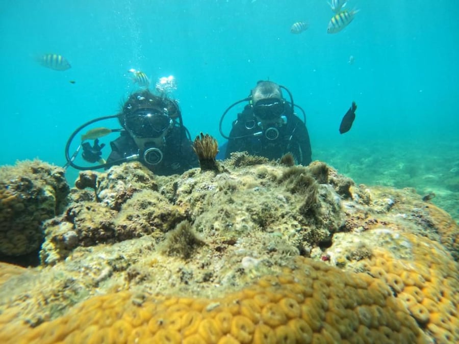 Instrutor de mergulho acompanhando visitantes na Ilha do Caitá