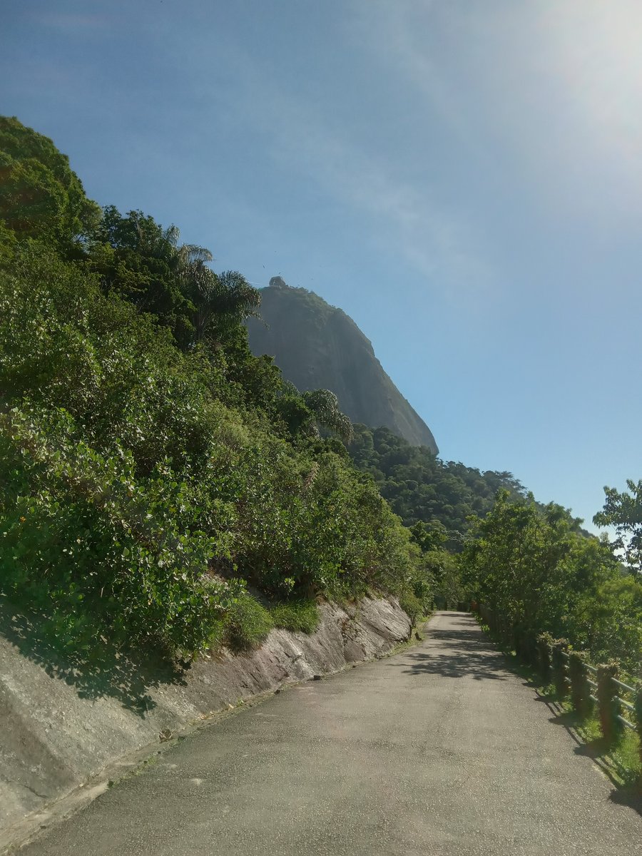 Começaremos com uma cainhada leve para aquecer os motores!