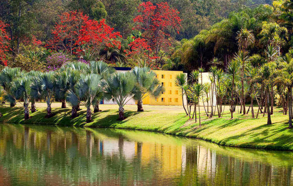 Um dos jardins do Instituto Inhotim, maior museu a céu aberto do mundo.