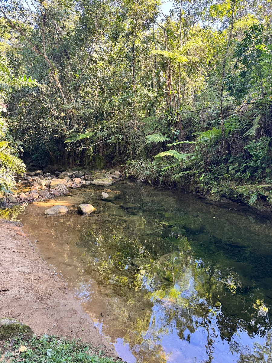 Cachoeira 
