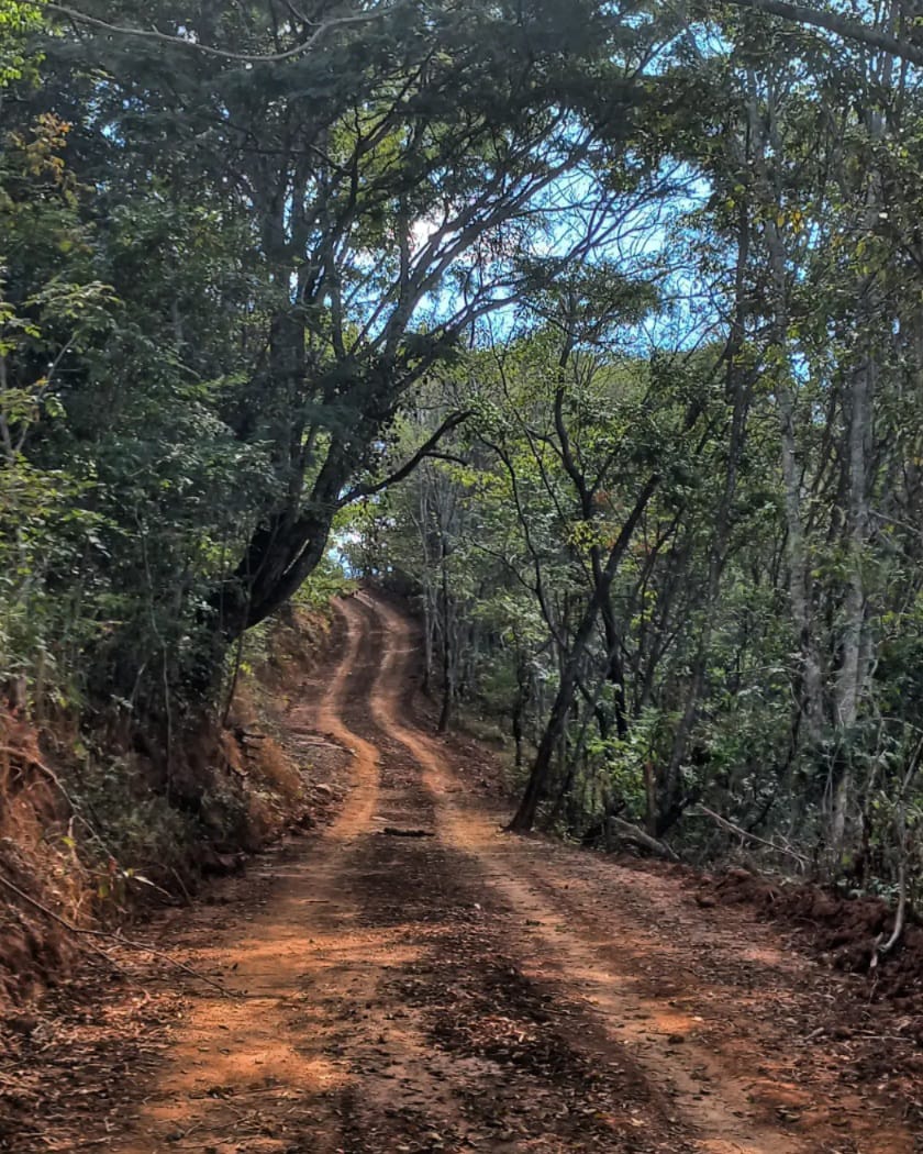 Estradão