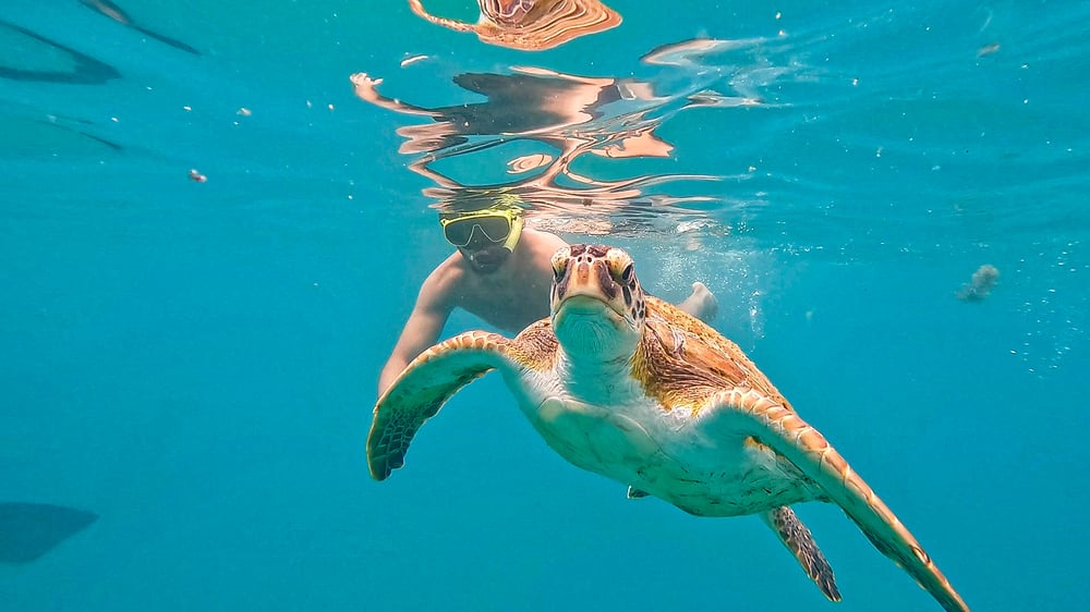 Mergulho de Snorkel na Praia em Arraial do Cabo