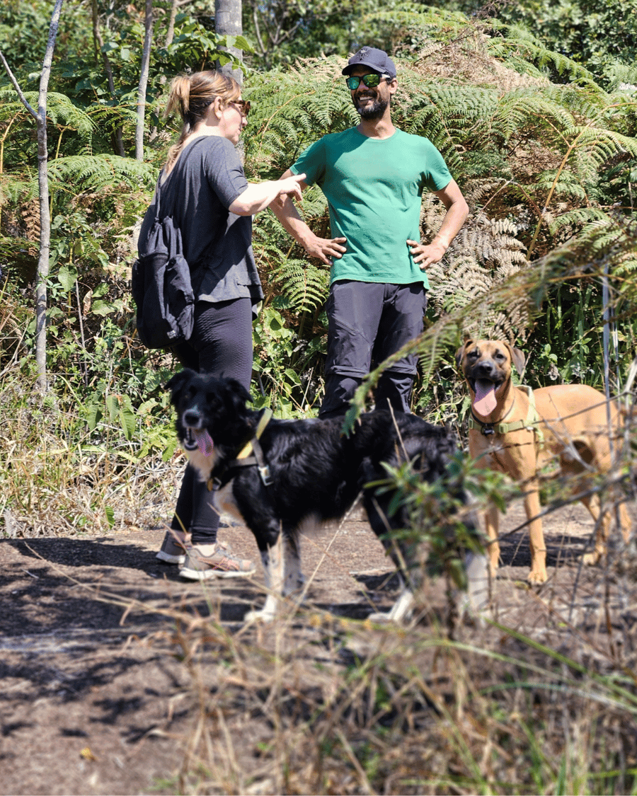 PedraGrande_petfriendly 12