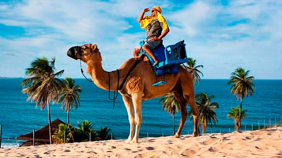 FERIADO DE CARNAVAL EXCURSÃO A NATAL-RN