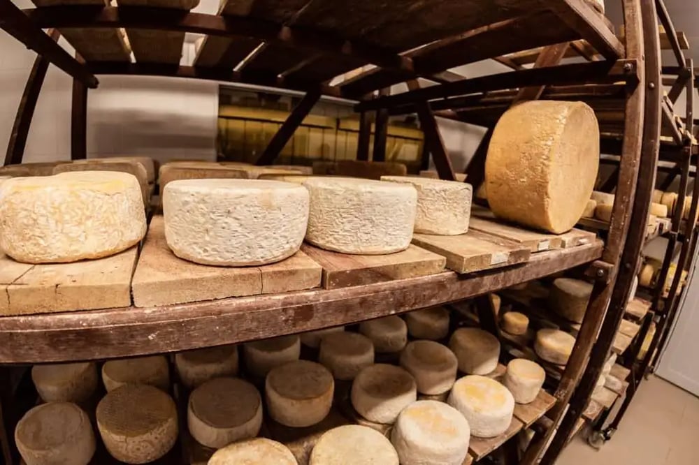 Turismo Rural - Visita guiada a queijaria Inconfidentes em Cachoeira do Campo