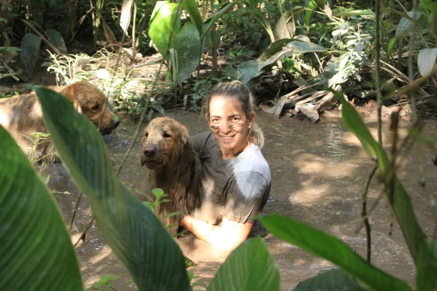 Day Use Aventura Pet com Trilha de Lama