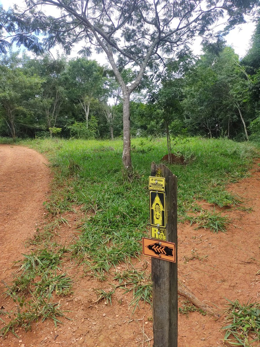 Sinalização