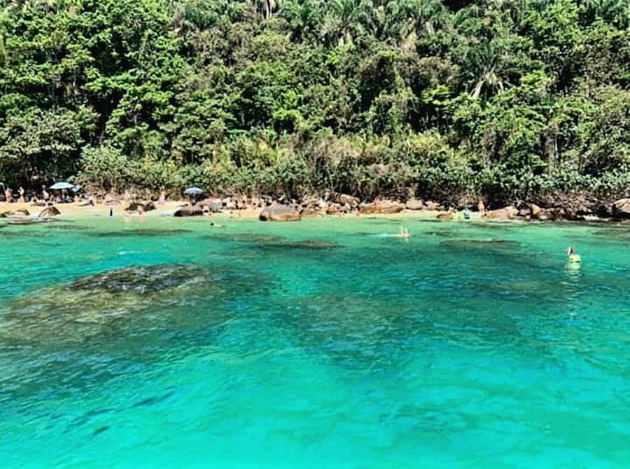 Ilha das Couve e Ilha dos Porcos