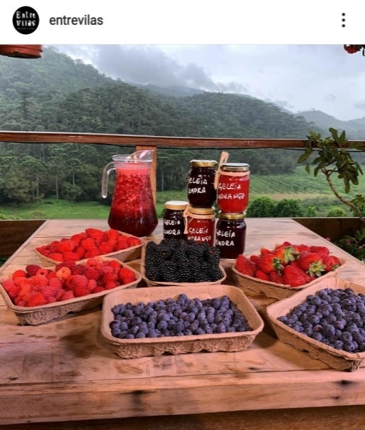 Entrevilas Vinícola e Gastronomia de 6 tempos