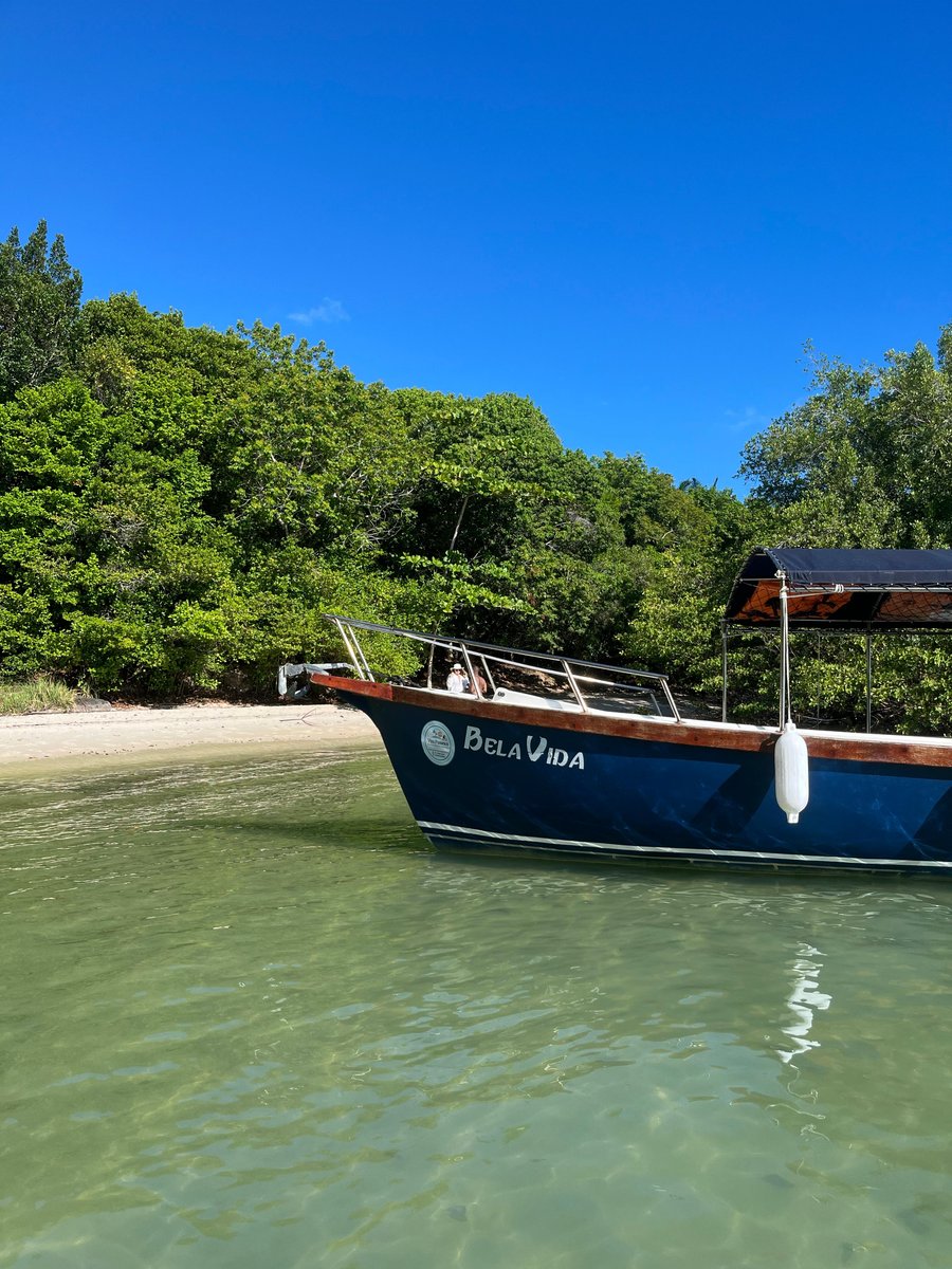 Barco Bela Vida