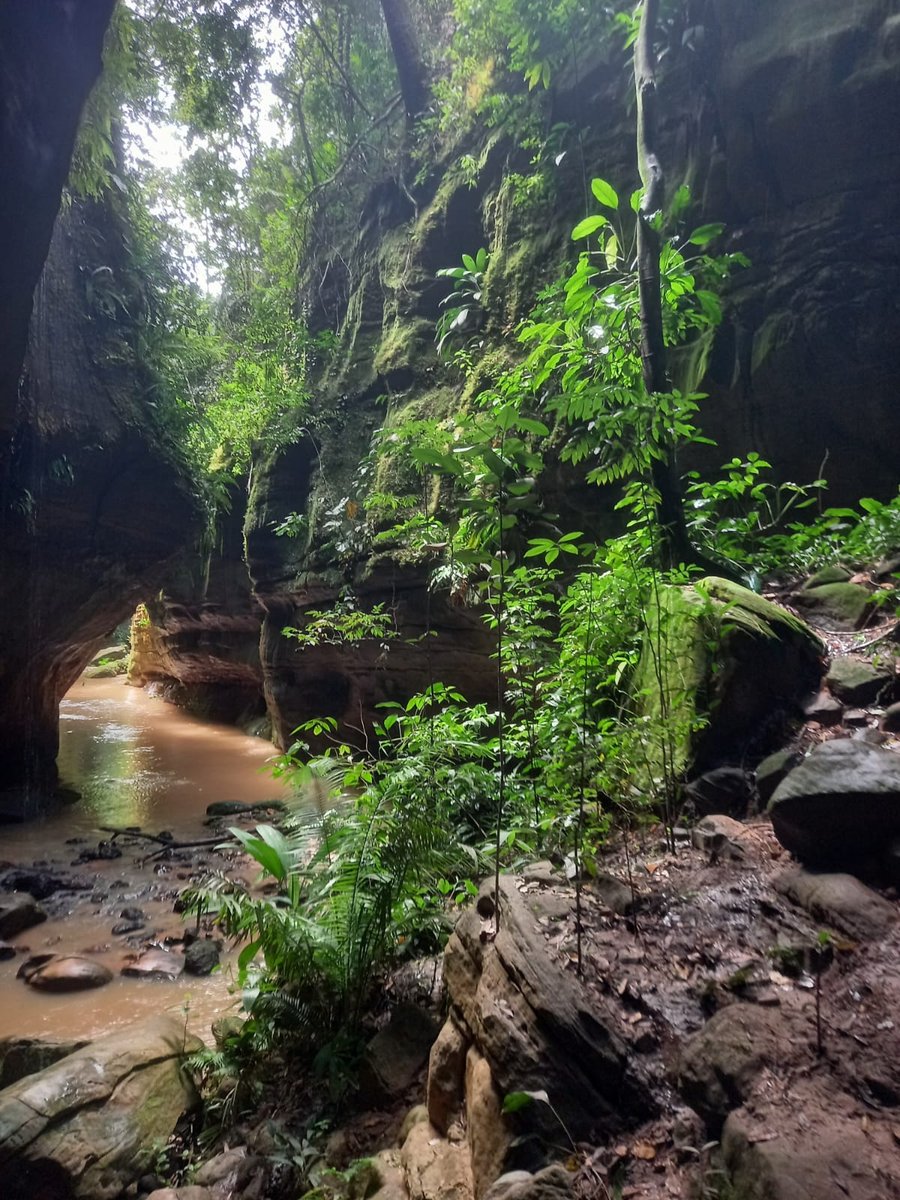 Bate Volta Cachoeira do Urubu - Santo Amaro/Ba