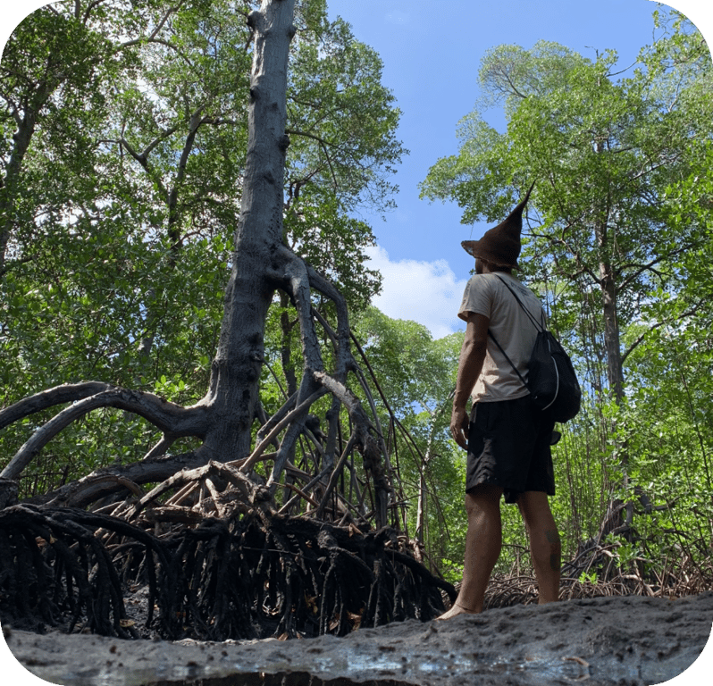 Guia Completo para Trilha no Manguezal de Maracaípe: Como se Preparar Adequadamente