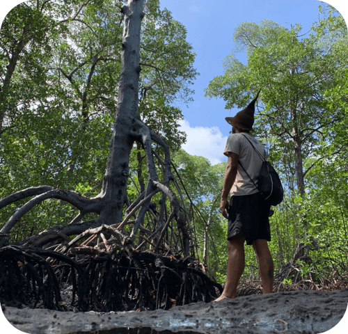 Guia Completo para Trilha no Manguezal de Maracaípe: Como se Preparar Adequadamente