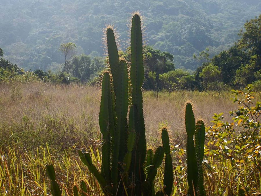Praias Desertas
