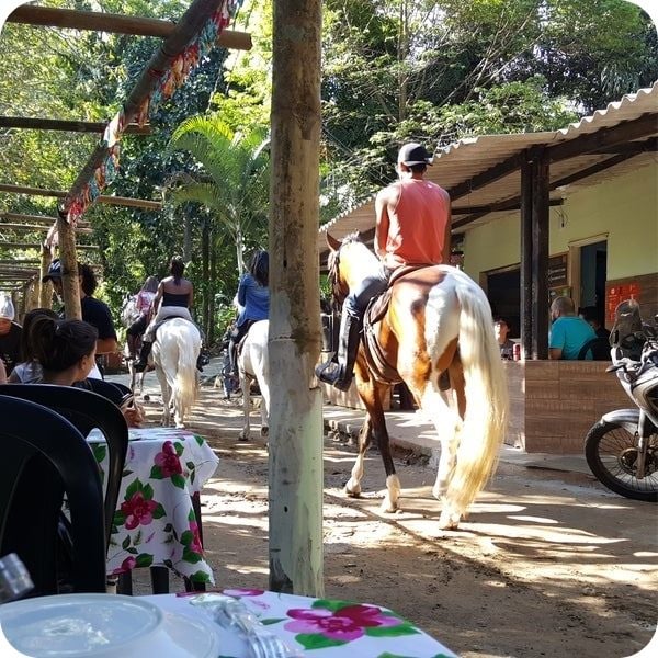 Conhecendo Vargem Grande
