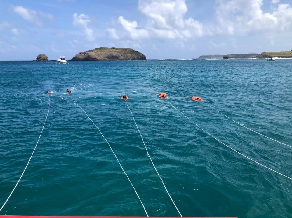 Passeio de Barco - Entardecer vip com churrasco e Planasub 