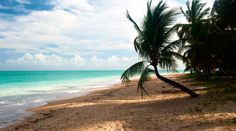 Excursão para Maceió/AL – Maragogi