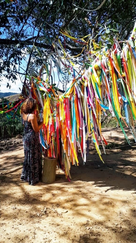 ÁRVORE DAS INFINITAS POSSIBILIDADES – JARDIM DA SABEDORIA