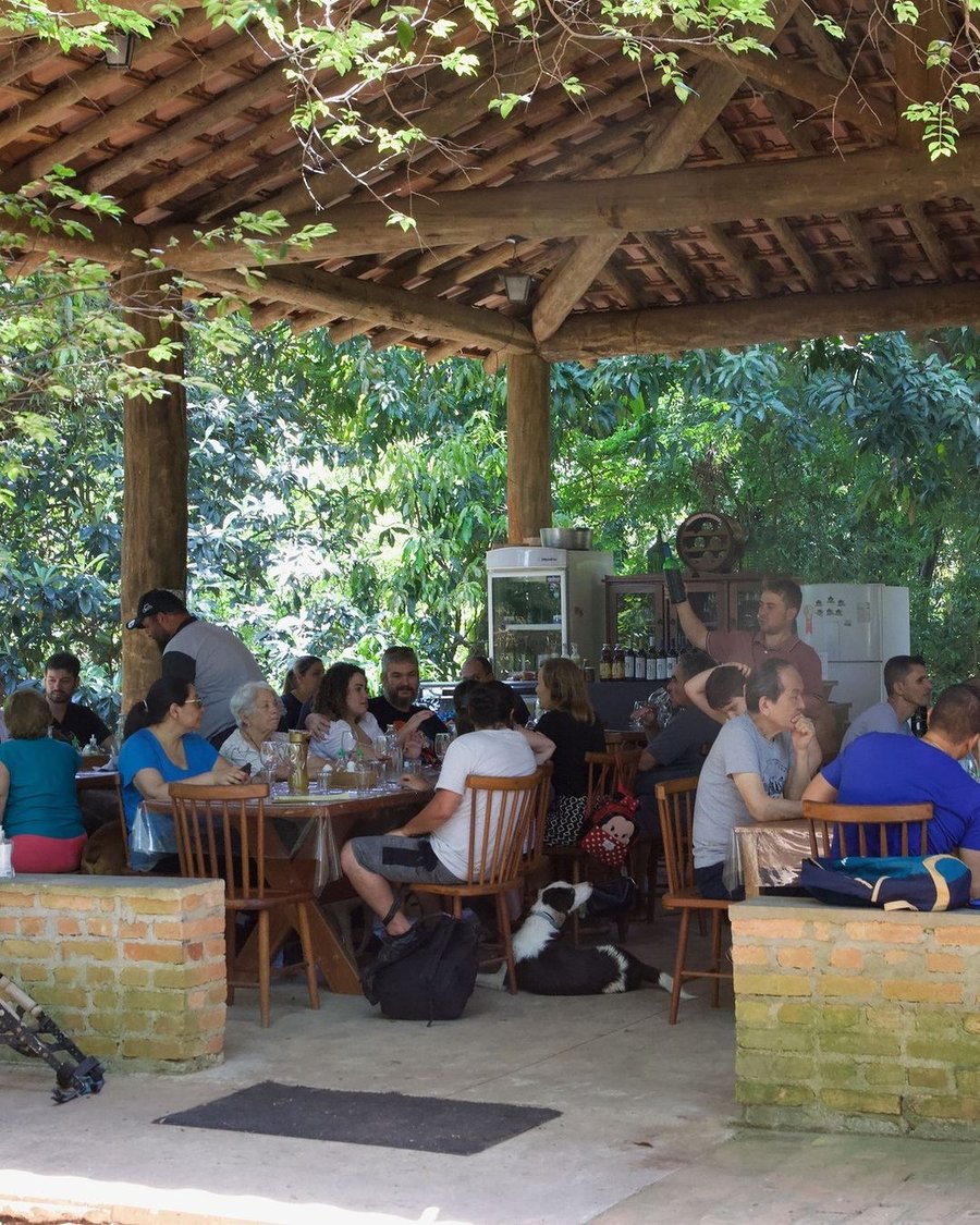 Trilha Pet + Degustação de Vinhos e Almoço na Vinícola Saccomani