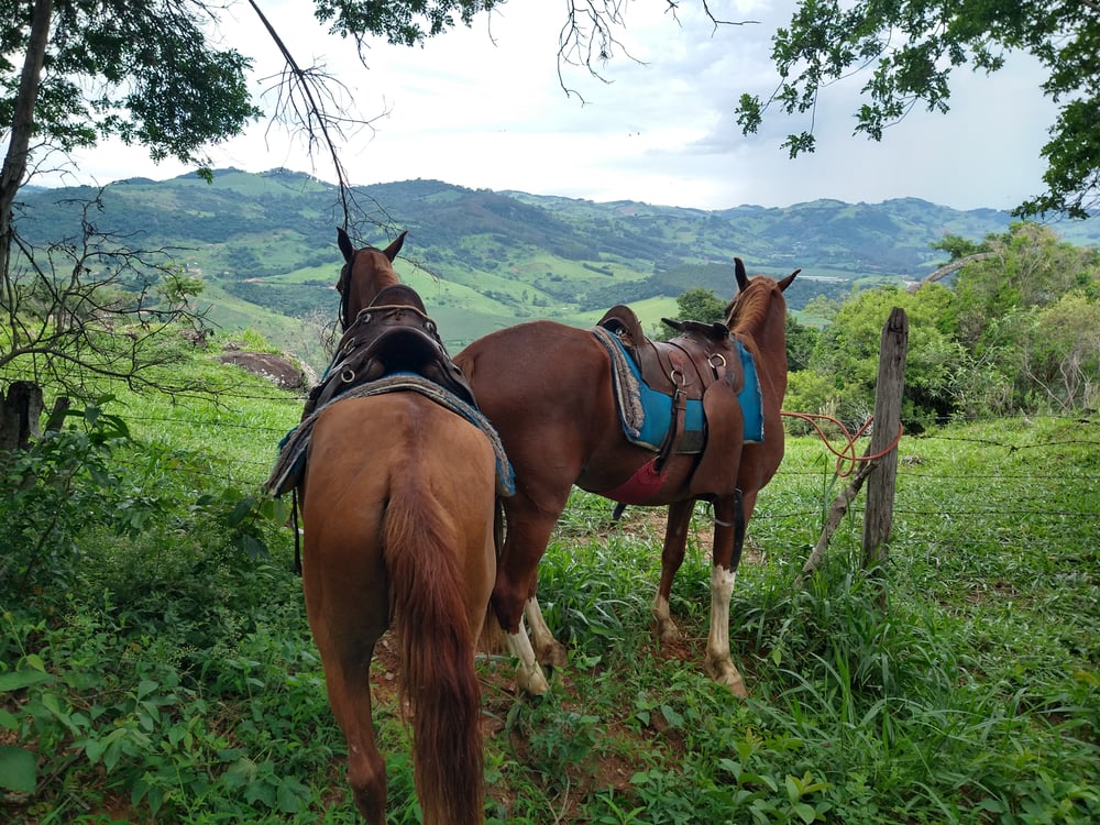 Passeio a Cavalo - Roteiro 03 - Trilha dos Mirantes