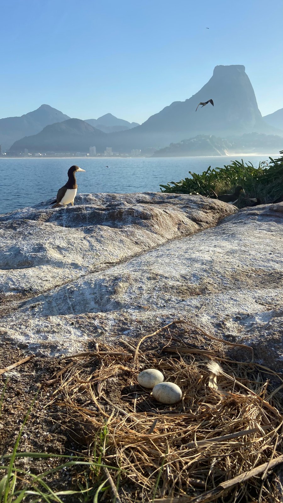 Tour Ilha das Tijucas