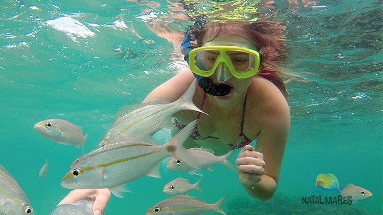 Mergulho nos Parrachos de Maracajaú com Transfer