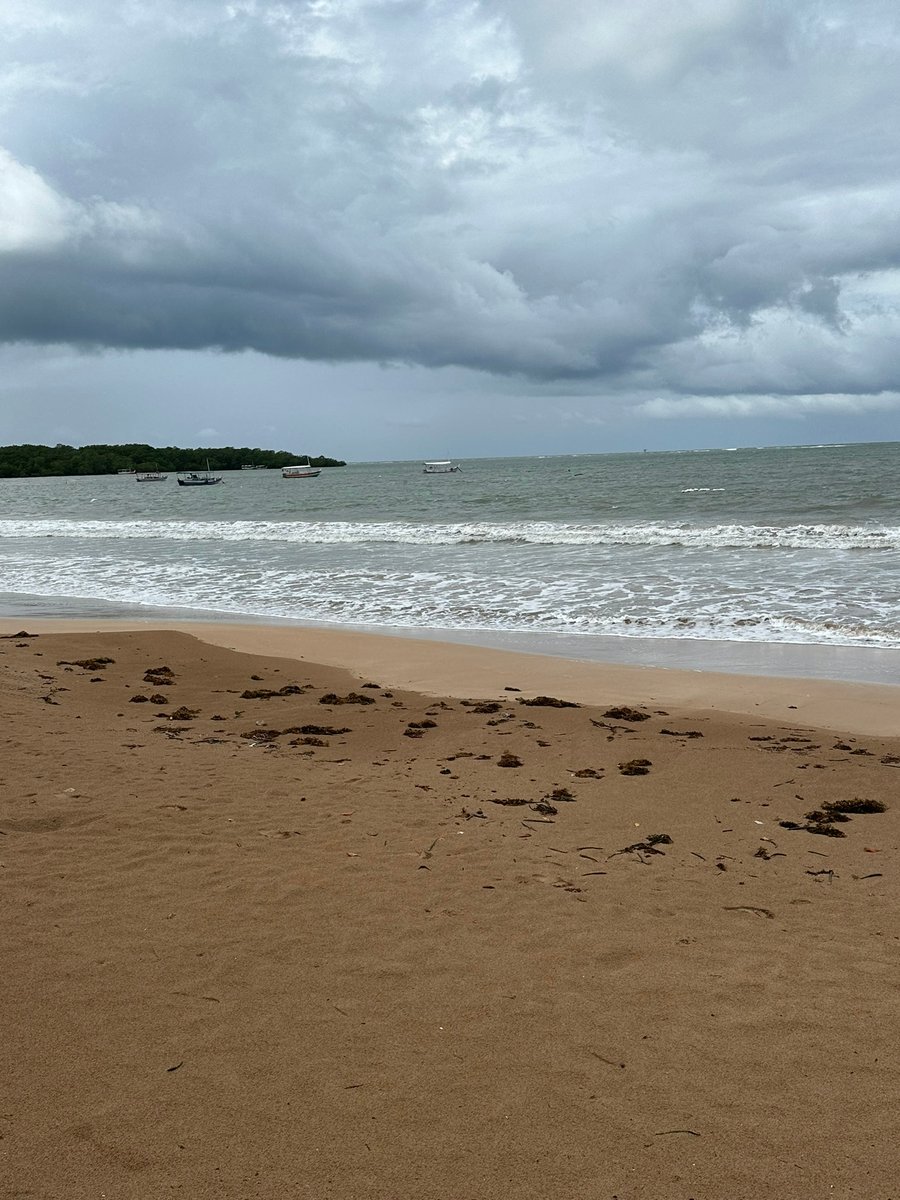 Retorno no final da tarde, refazendo o percurso pelas trilhas até Morro de São Paulo.
