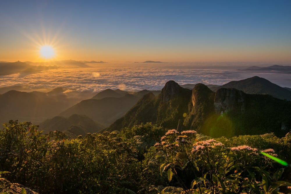 PEDRA DA MACELA, LAVANDÁRIO E CERVEJARIA 
