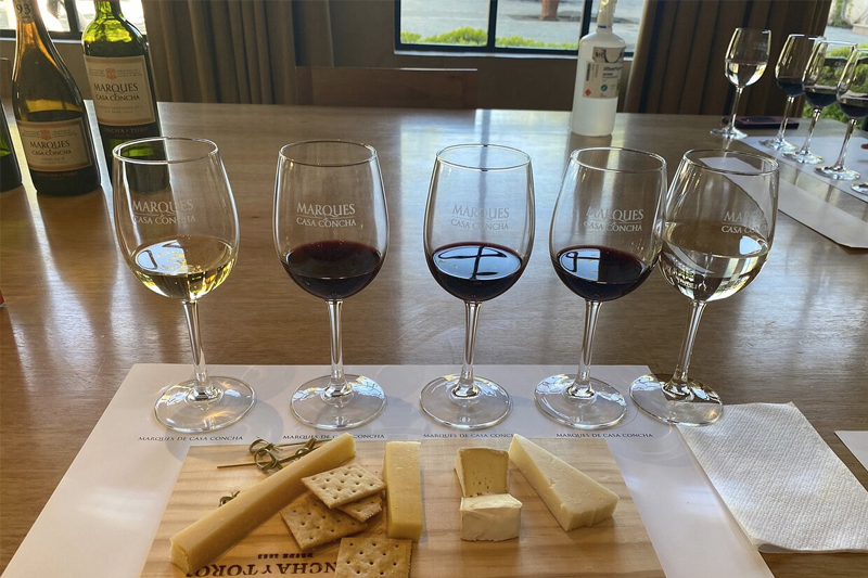 A Vinícola Concha y Toro: História, Tradição e Excelência no Vinho Chileno