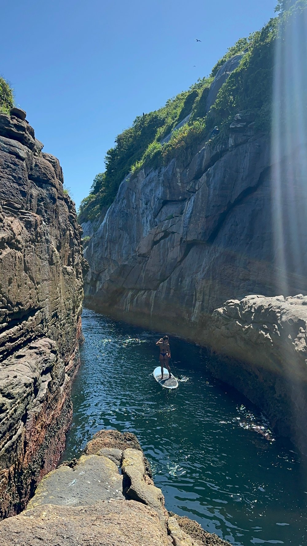Tour Ilha das Tijucas
