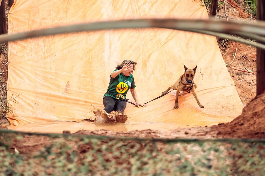 Desafio Feras Pet Friendly