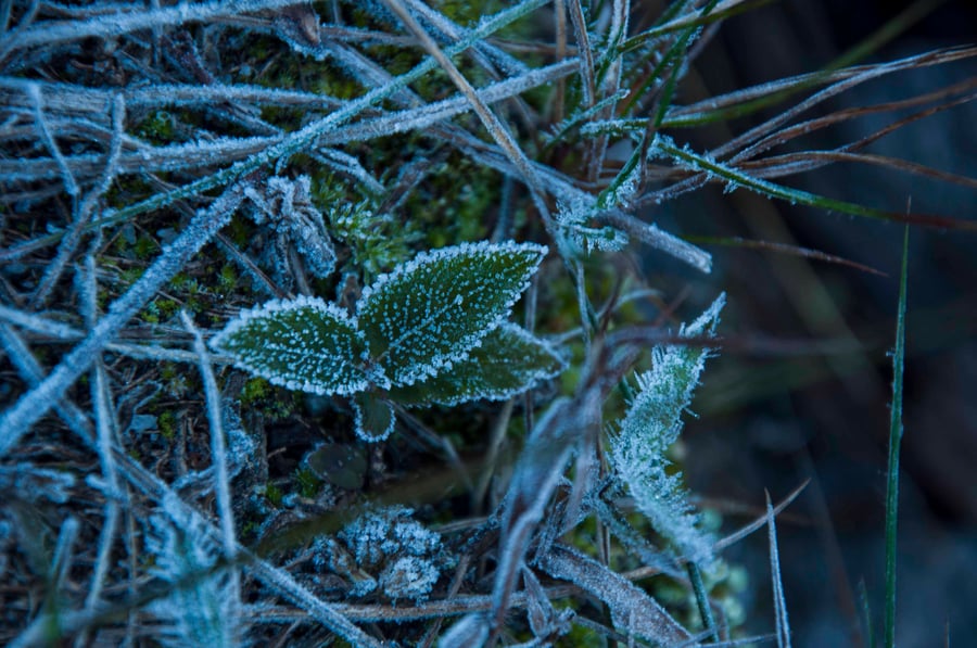 Frio - Característica da Serra Fina