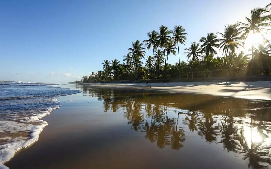 Excursão para Itacaré + Camamu