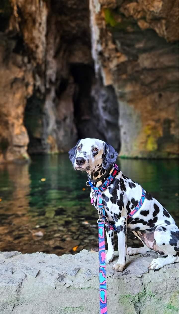 Gruta do Anjo Pet friendly - Socorro