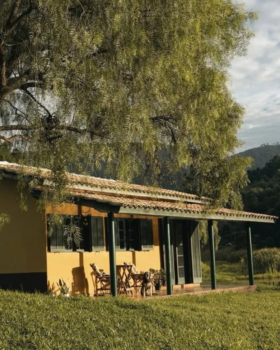 Orchestra do Silêncio Retiro Zen Pet