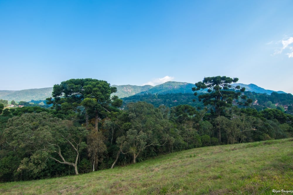 PEDRA REDONDA + TOUR PERSONALIZADO EXCLUSIVO (02 PESSOAS)