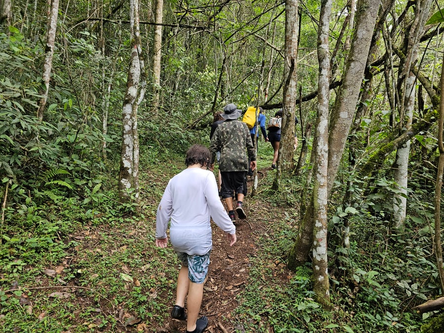Safari do Macaco Doido em São Bartolomeu