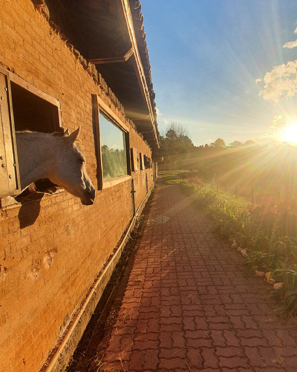 PASSAPORTE FULL + PASSEIO TARUNDU 