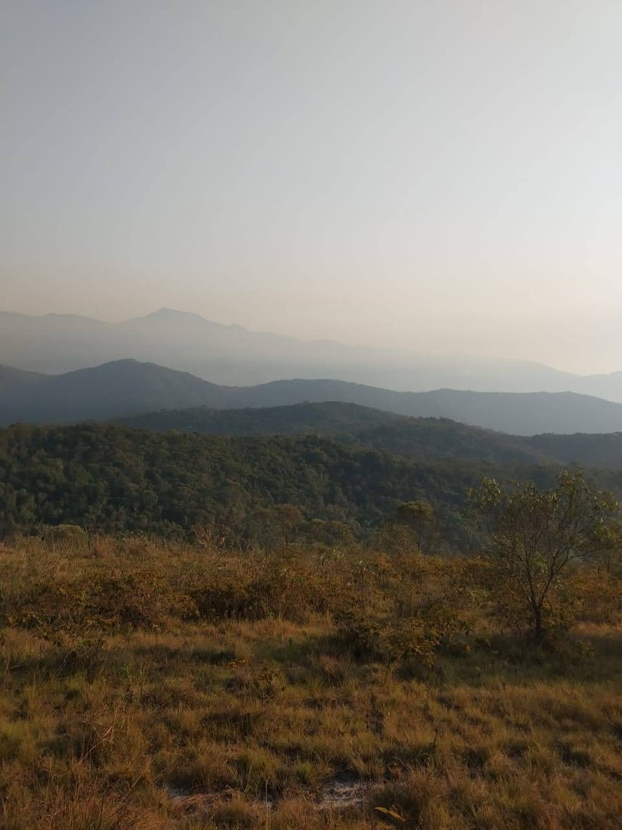 vista da trilha