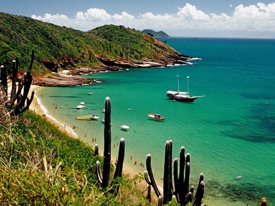 "Um paraíso para os amantes do mergulho! Mergulhando nas águas cristalinas da Praia de João Fernandes. 🐠🌊✨"