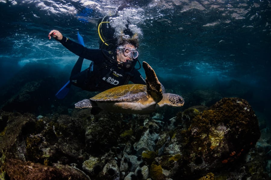 Mergulho guiado em Arraial do Cabo