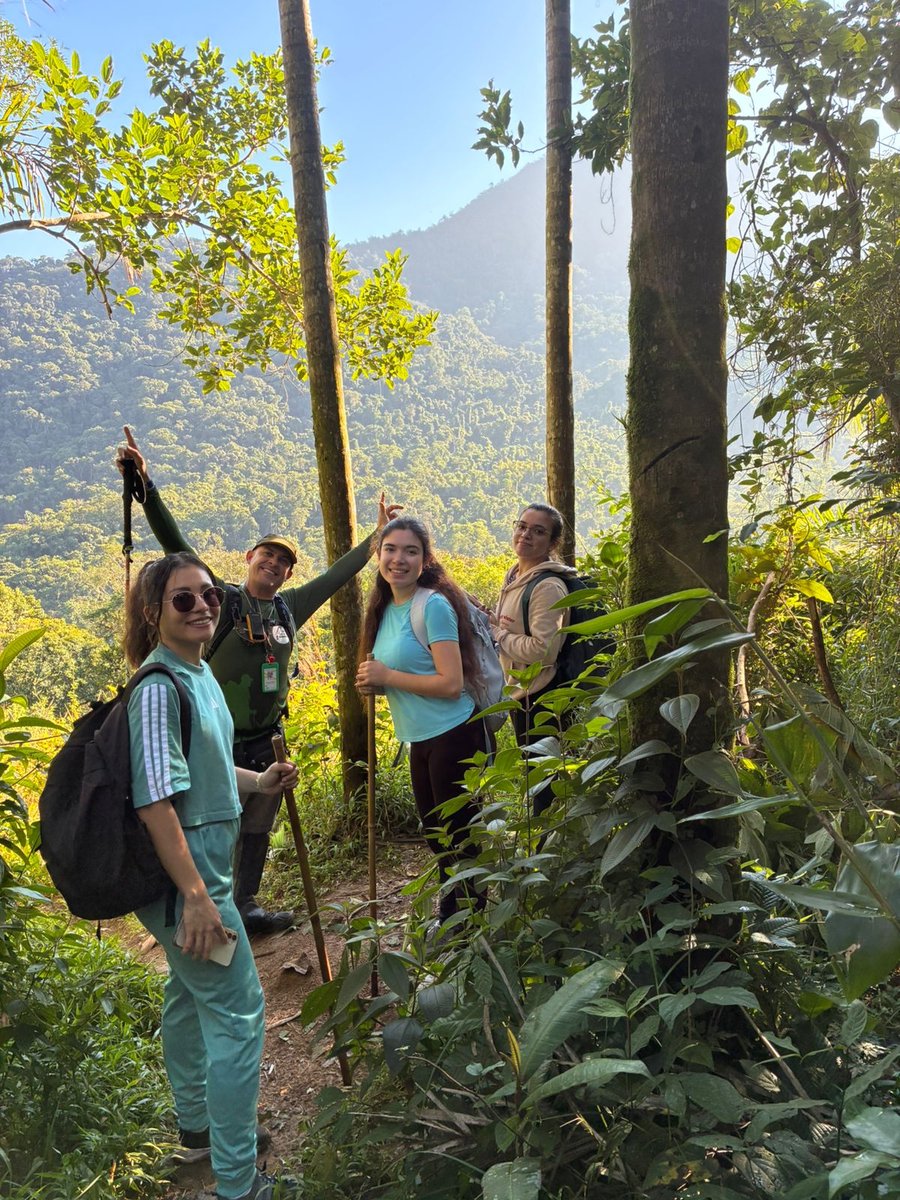 Pico do Piúva