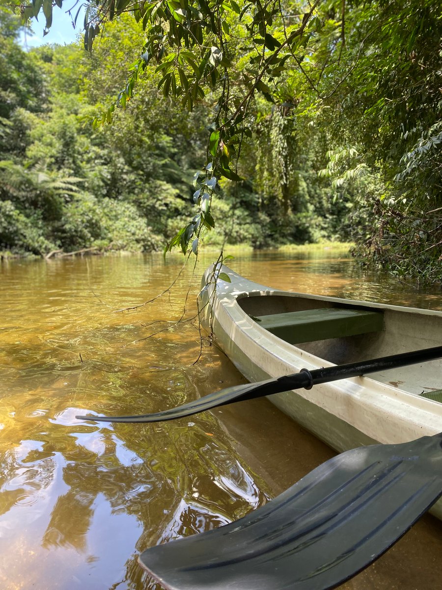 Visual incrível do Rio Jaguareguava