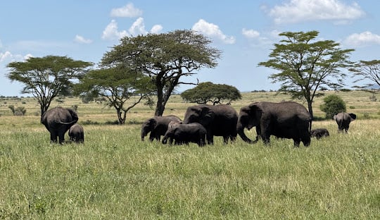 Grupo de Viagens Idade Dourada: viagens planejadas para sêniores, com roteiros completos, conforto, cultura, acessibilidade e acompanhamento especializado.