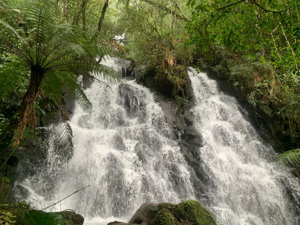 Trilha Cachoeiras do Vale - Veículo Próprio
