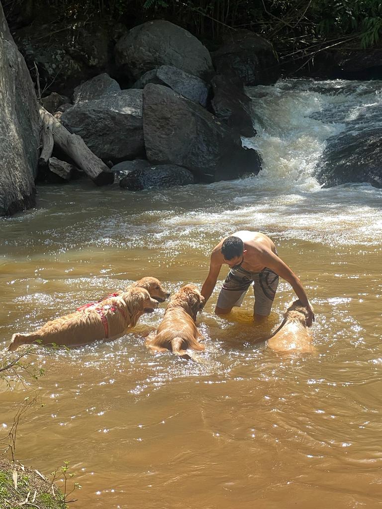 Caminhada de Montanha Pet