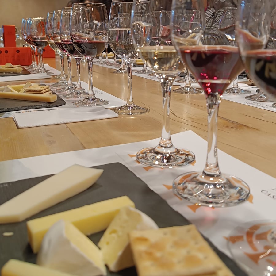 Degustação de vinhos Marques de Casa Concha na vinícola Concha y Toro
