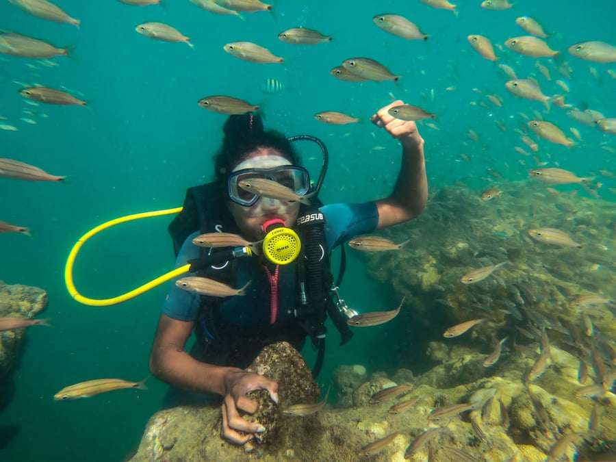  Pose para com cardume 