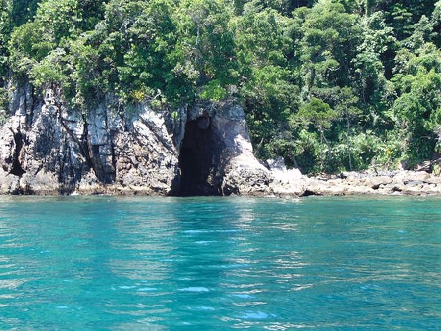 Ilha das Couves